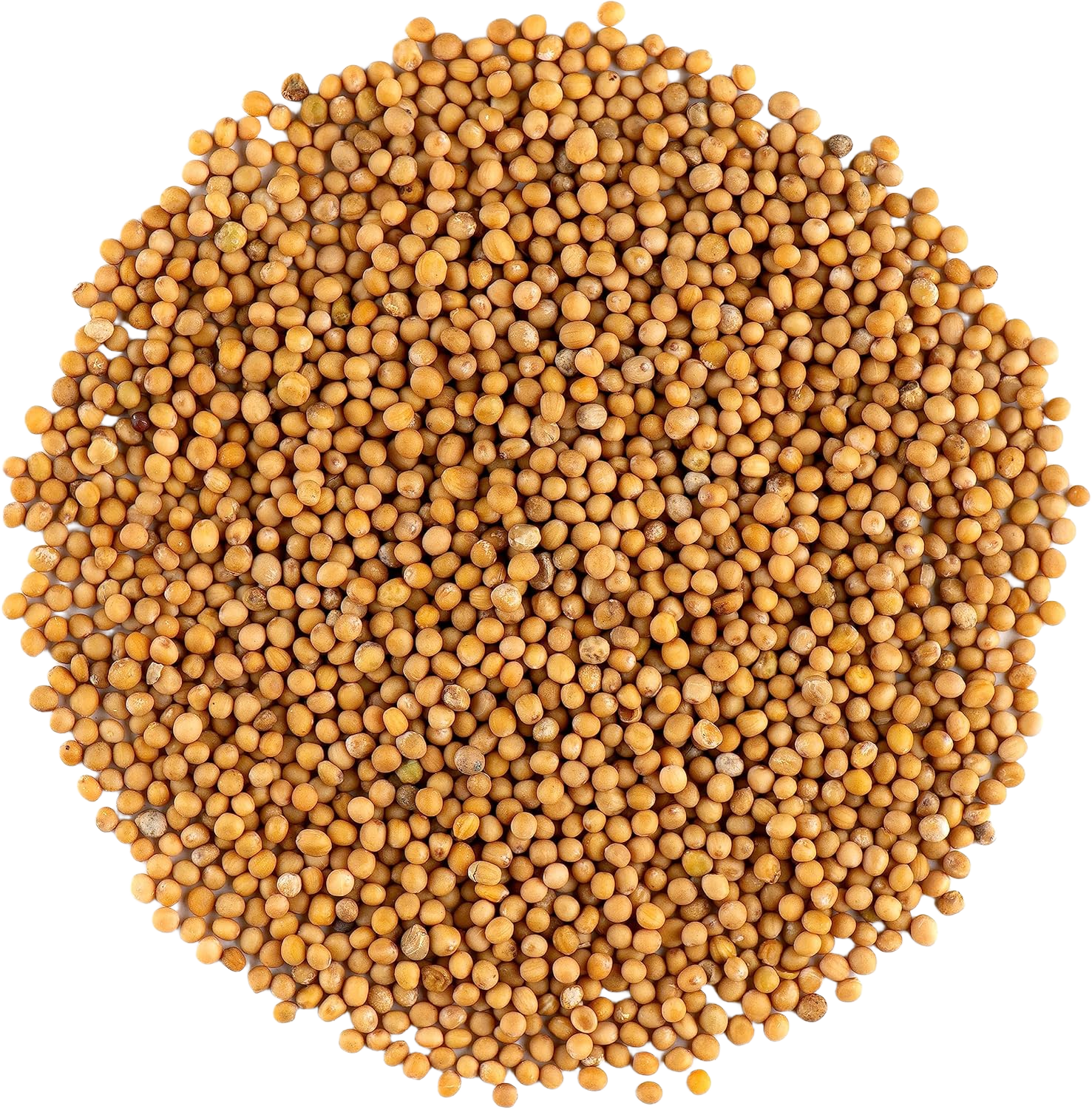 White Mustard Seeds